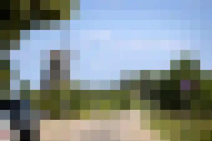 Zwiepseweg 153 Lochem thumbnail 49