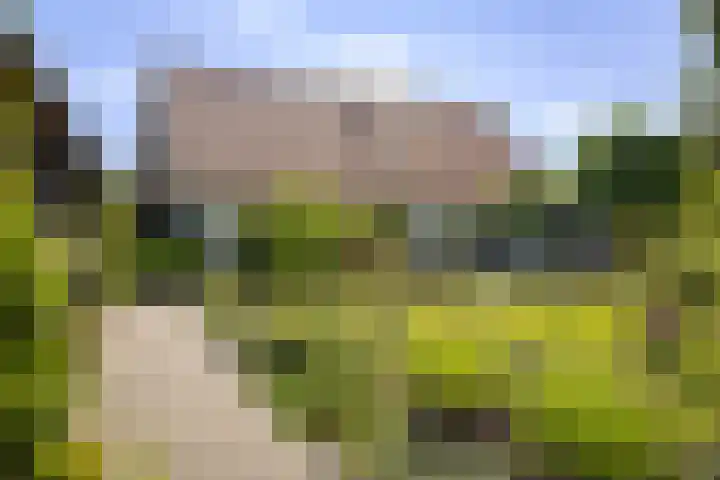 Zwiepseweg 153 Lochem thumbnail 5