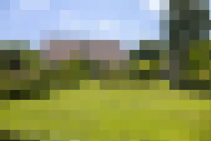 Zwiepseweg 153 Lochem thumbnail 6