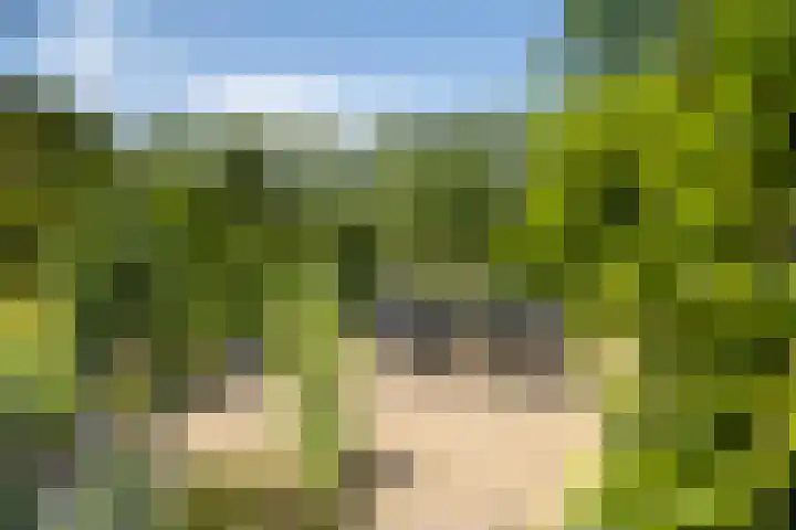 Zwiepseweg 153 Lochem thumbnail 7
