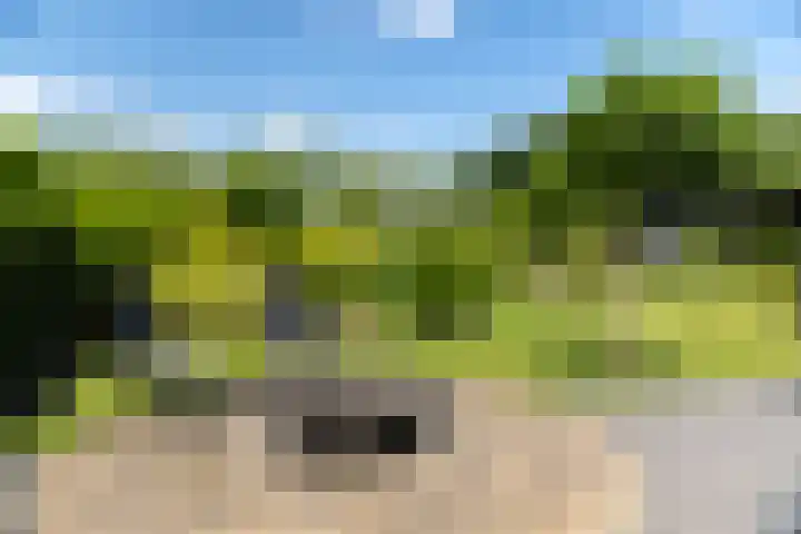 Zwiepseweg 153 Lochem thumbnail 8