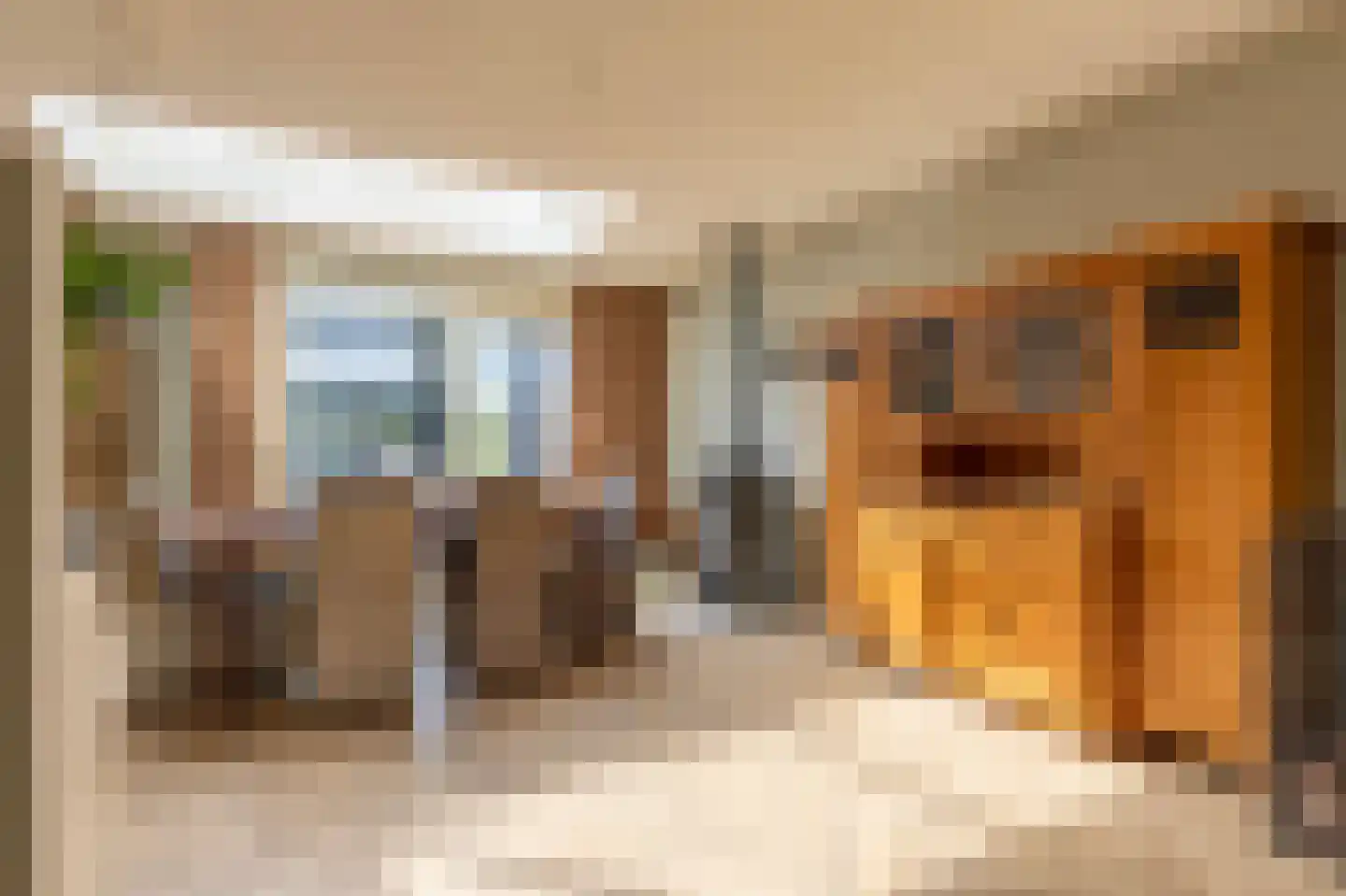 Zwier Regelinkstraat 5 Oudewater thumbnail 10
