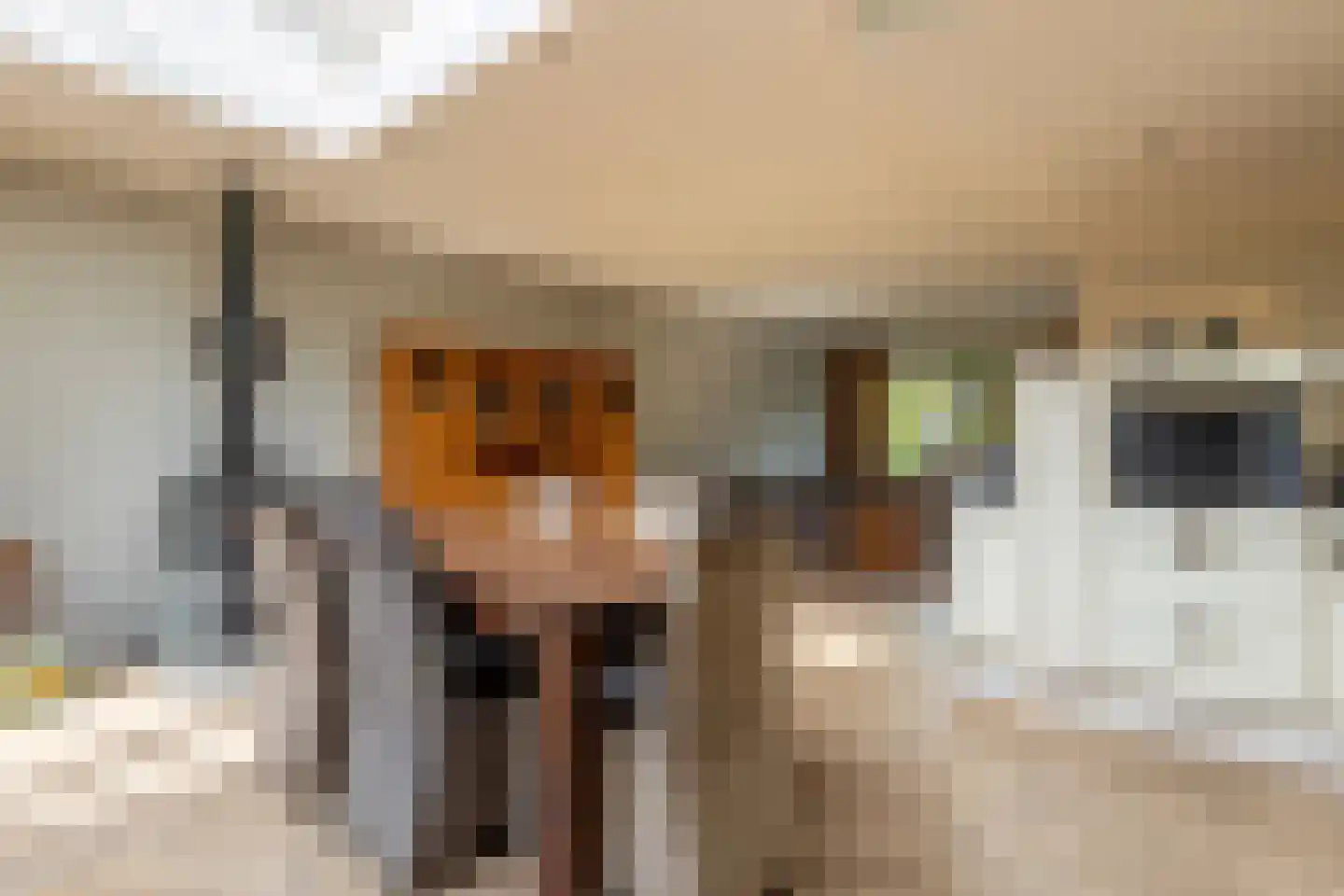 Zwier Regelinkstraat 5 Oudewater thumbnail 13