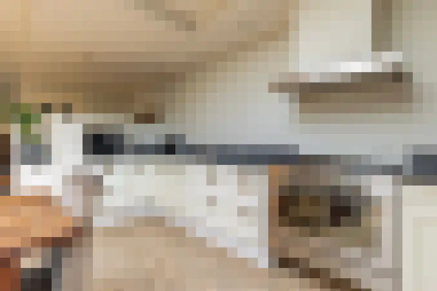 Zwier Regelinkstraat 5 Oudewater thumbnail 15