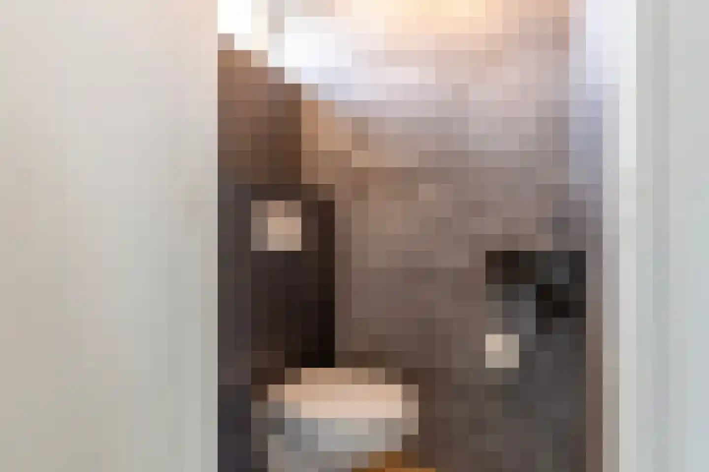 Zwier Regelinkstraat 5 Oudewater thumbnail 21