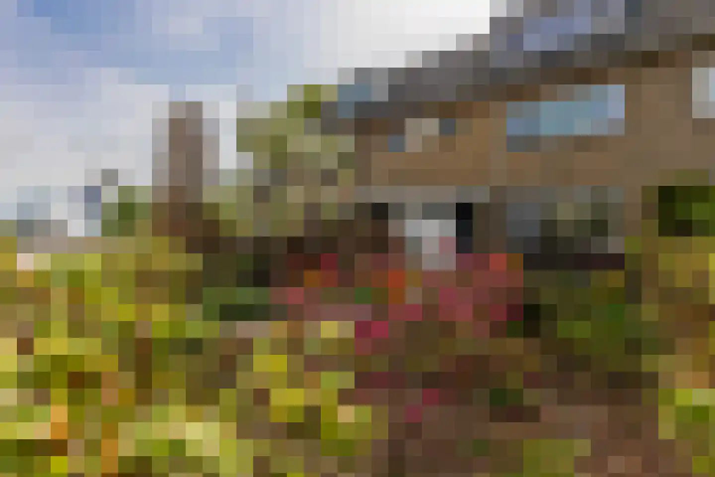 Zwier Regelinkstraat 5 Oudewater thumbnail 49