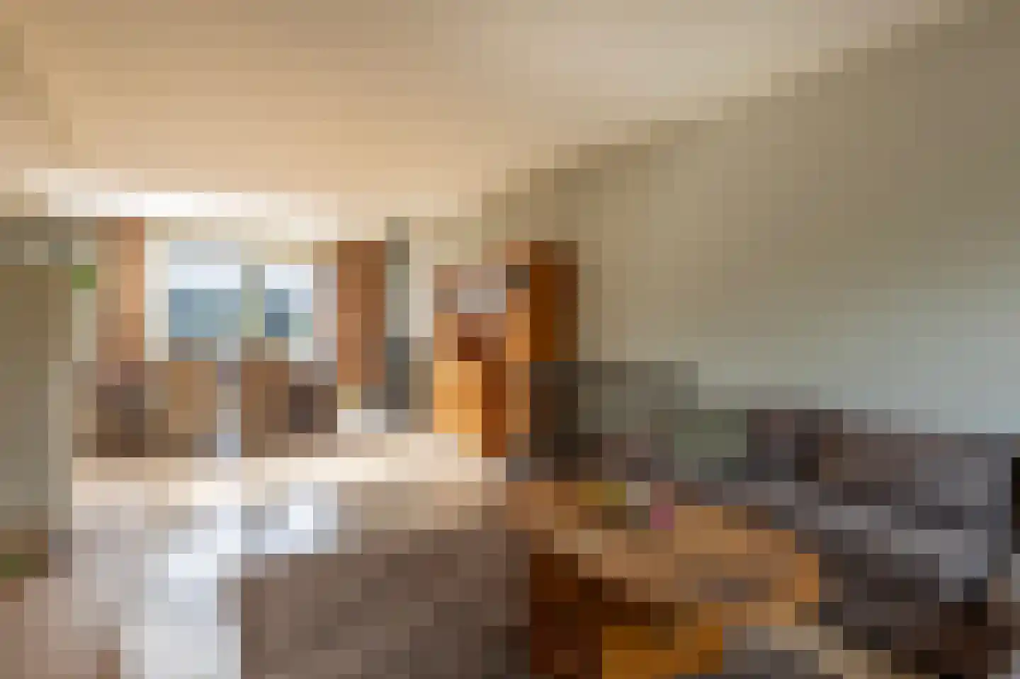 Zwier Regelinkstraat 5 Oudewater thumbnail 9
