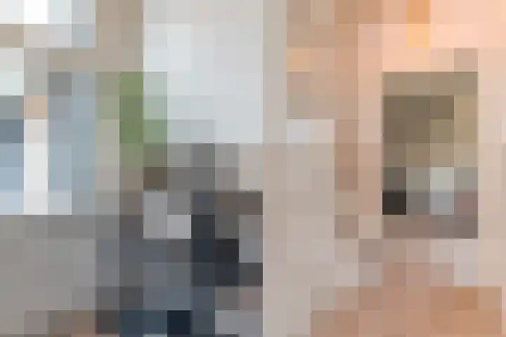 Zwiersstraat 35 Dedemsvaart thumbnail 10