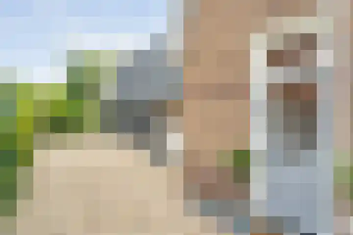 Zwiersstraat 35 Dedemsvaart thumbnail 5
