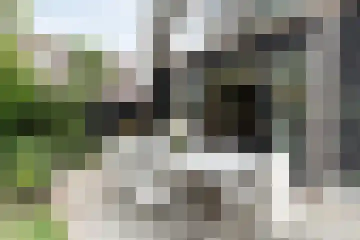 Zwiersstraat 35 Dedemsvaart thumbnail 50