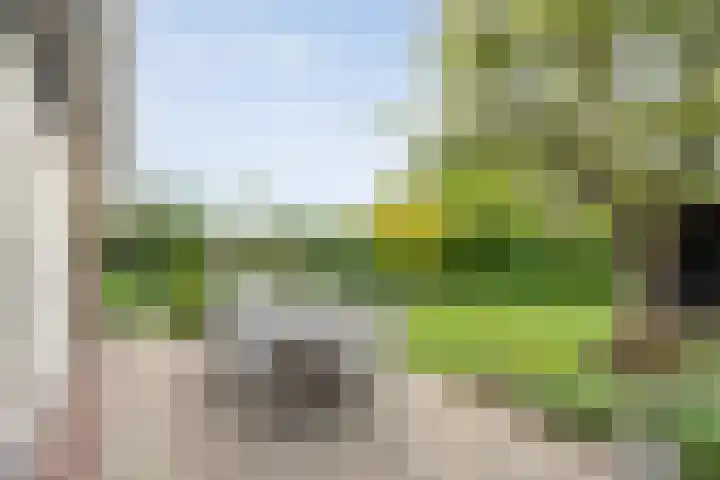 Zwiersstraat 35 Dedemsvaart thumbnail 51