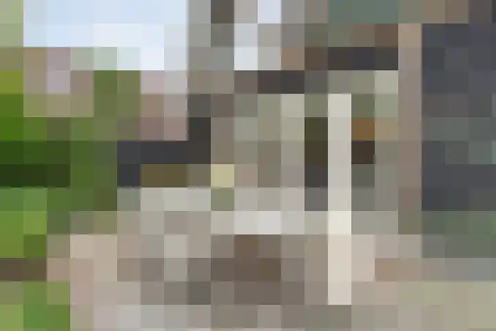 Zwiersstraat 35 Dedemsvaart thumbnail 52