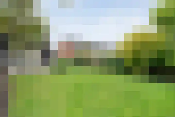 Zwiersstraat 35 Dedemsvaart thumbnail 57
