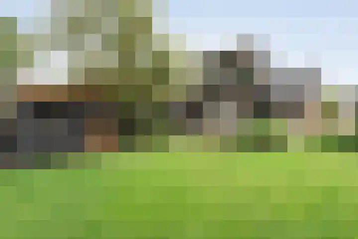 Zwiersstraat 35 Dedemsvaart thumbnail 58