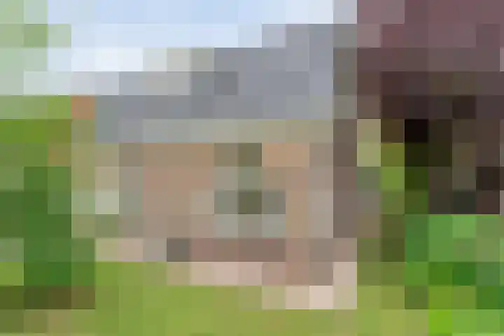 Zwiersstraat 35 Dedemsvaart thumbnail 6