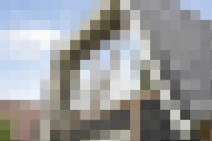 Zwiersstraat 35 Dedemsvaart thumbnail 63