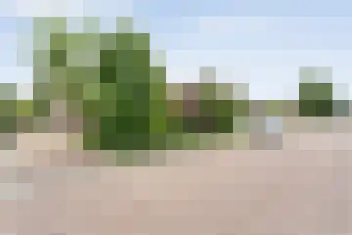 Zwiersstraat 35 Dedemsvaart thumbnail 64
