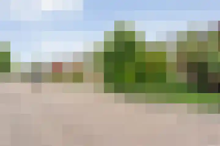 Zwiersstraat 35 Dedemsvaart thumbnail 65
