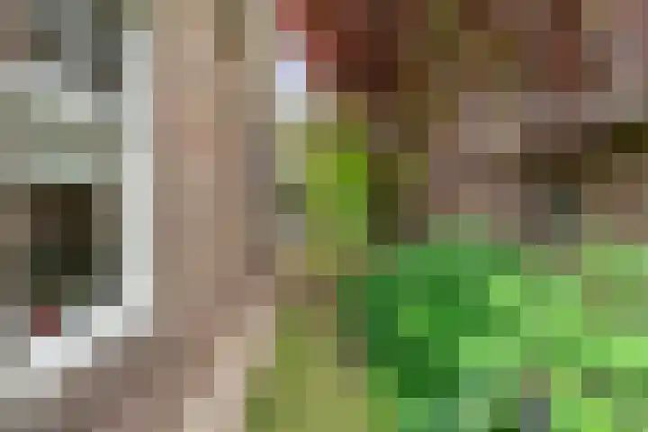 Zwiersstraat 35 Dedemsvaart thumbnail 7