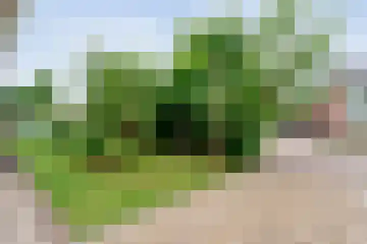 Zwiersstraat 35 Dedemsvaart thumbnail 8