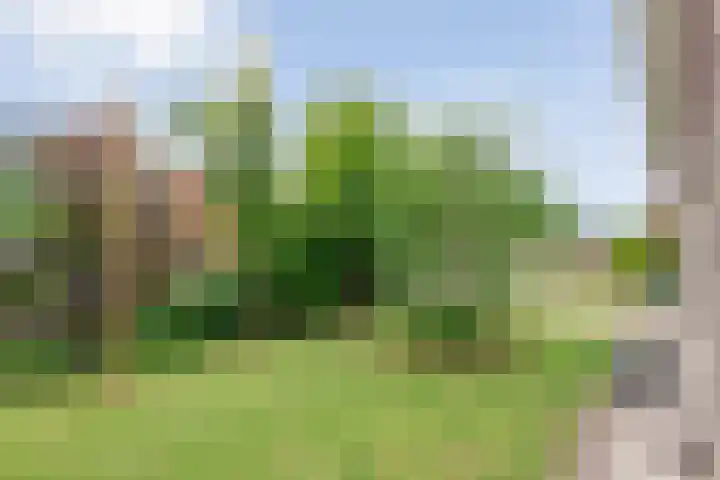 Zwiersstraat 35 Dedemsvaart thumbnail 9