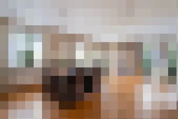 Zwiersstraat 56 Dedemsvaart thumbnail 17