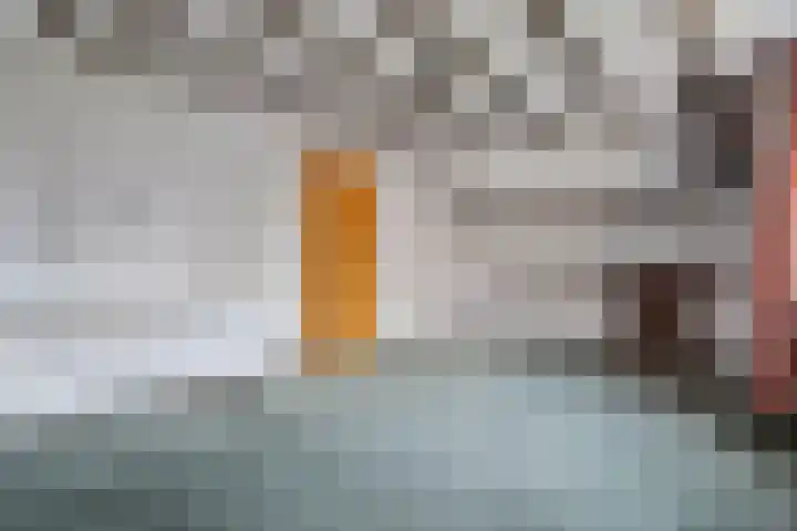 Zwiersstraat 56 Dedemsvaart thumbnail 33
