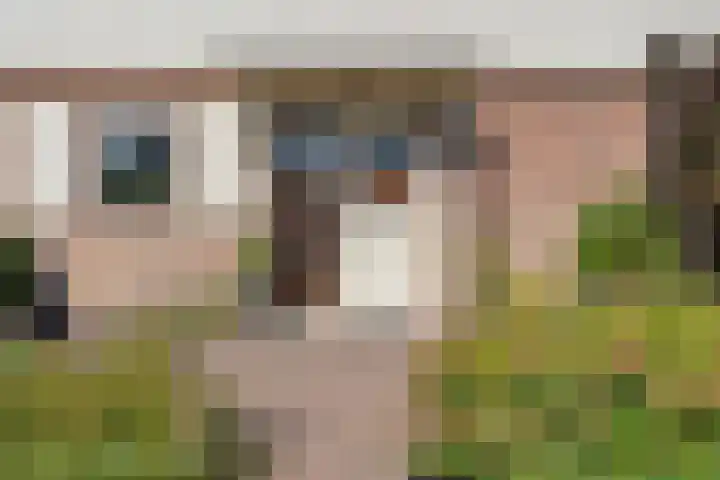 Zwiersstraat 56 Dedemsvaart thumbnail 52