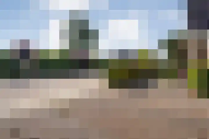 Zwiersstraat 56 Dedemsvaart thumbnail 53