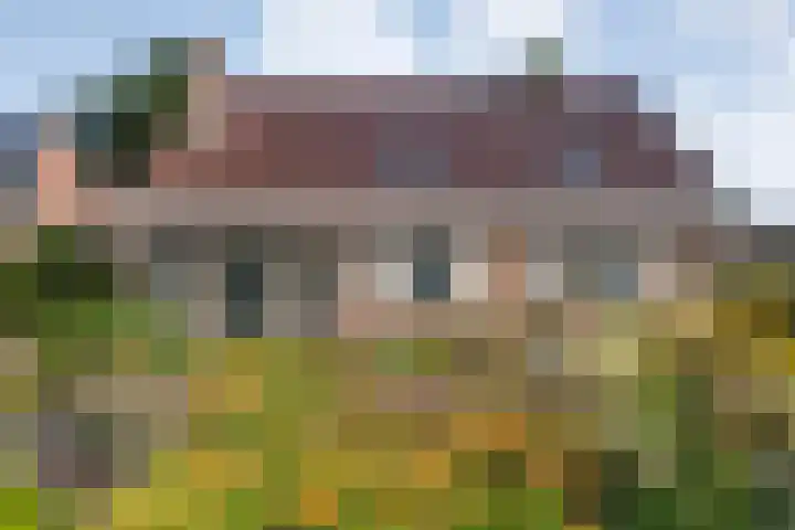 Zwiersstraat 56 Dedemsvaart thumbnail 56