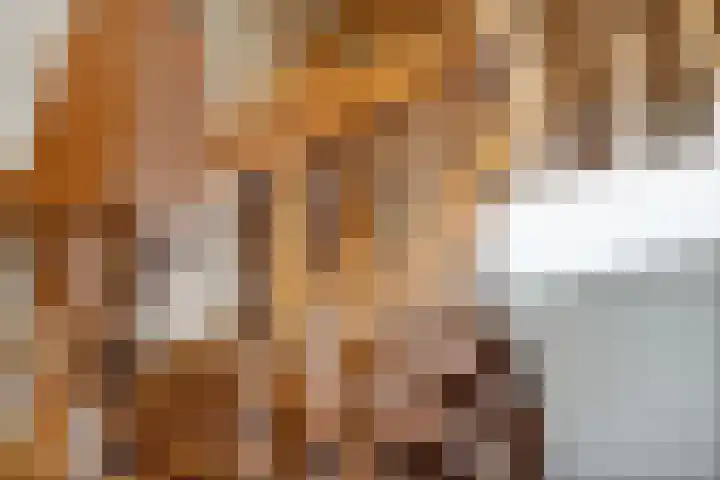 Zwiersstraat 56 Dedemsvaart thumbnail 9