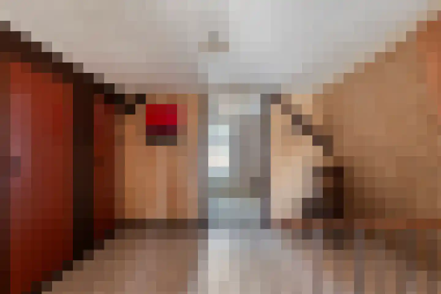 Zwiersstraat 63 Dedemsvaart thumbnail 17