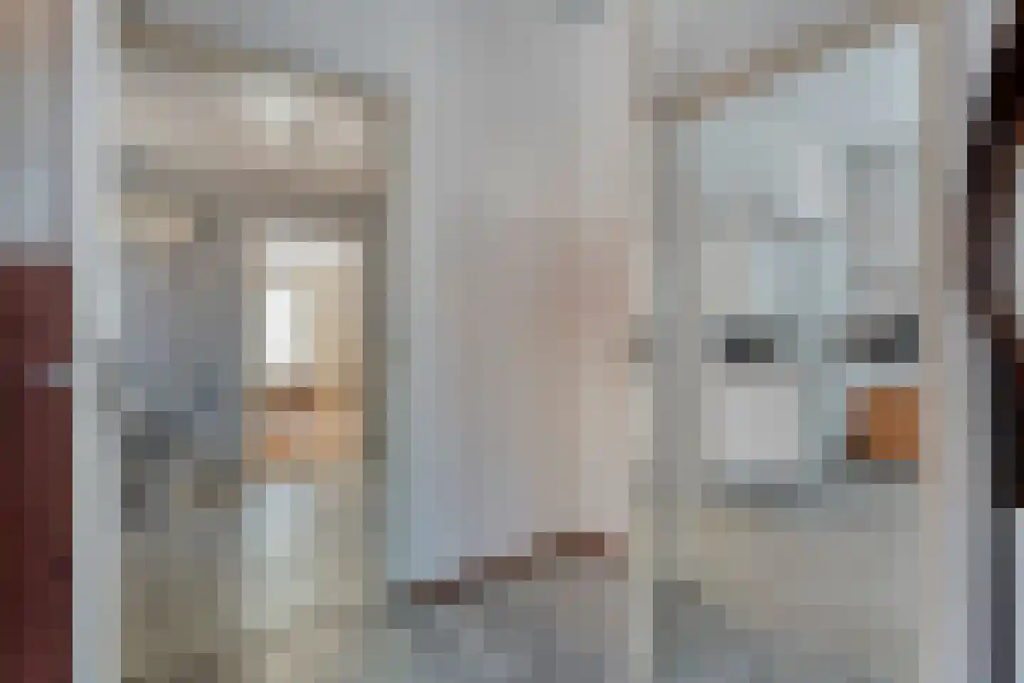 Zwiersstraat 63 Dedemsvaart thumbnail 5