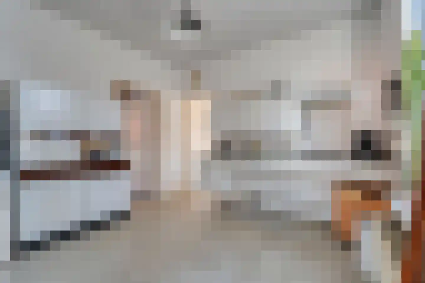 Zwiersstraat 63 Dedemsvaart thumbnail 6