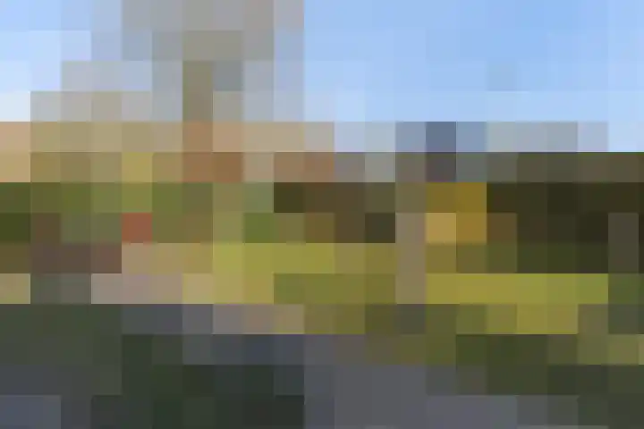 Zwiggelterstraat 1 Westerbork thumbnail 33