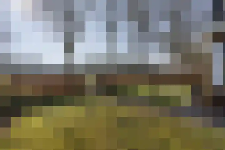 Zwiggelterstraat 1 Westerbork thumbnail 48