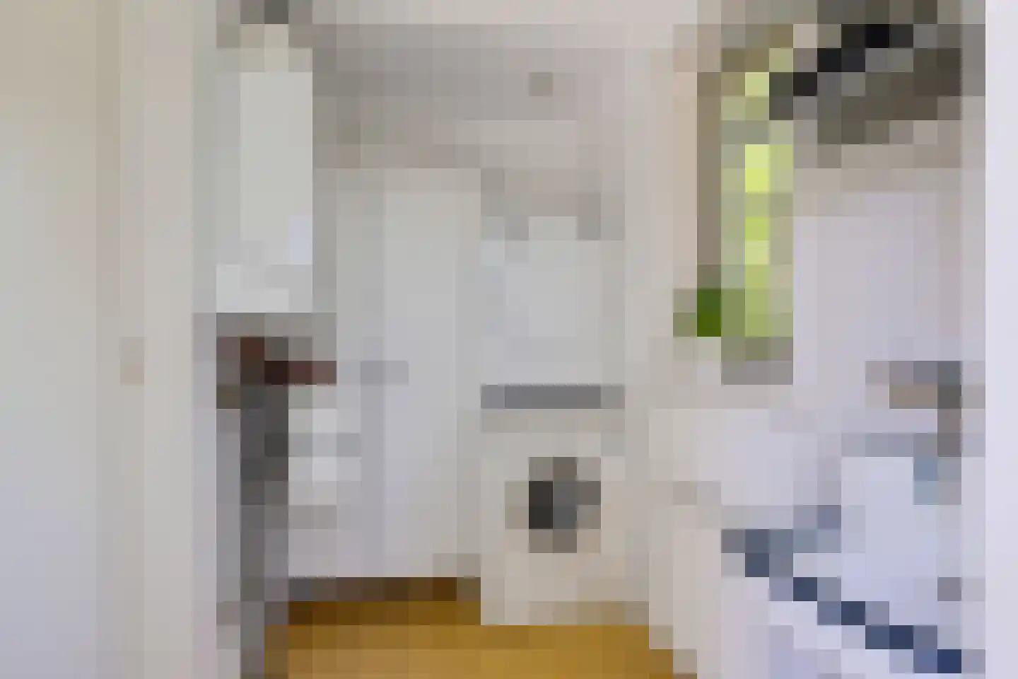 Zwiggelterweg 3 Hooghalen thumbnail 12