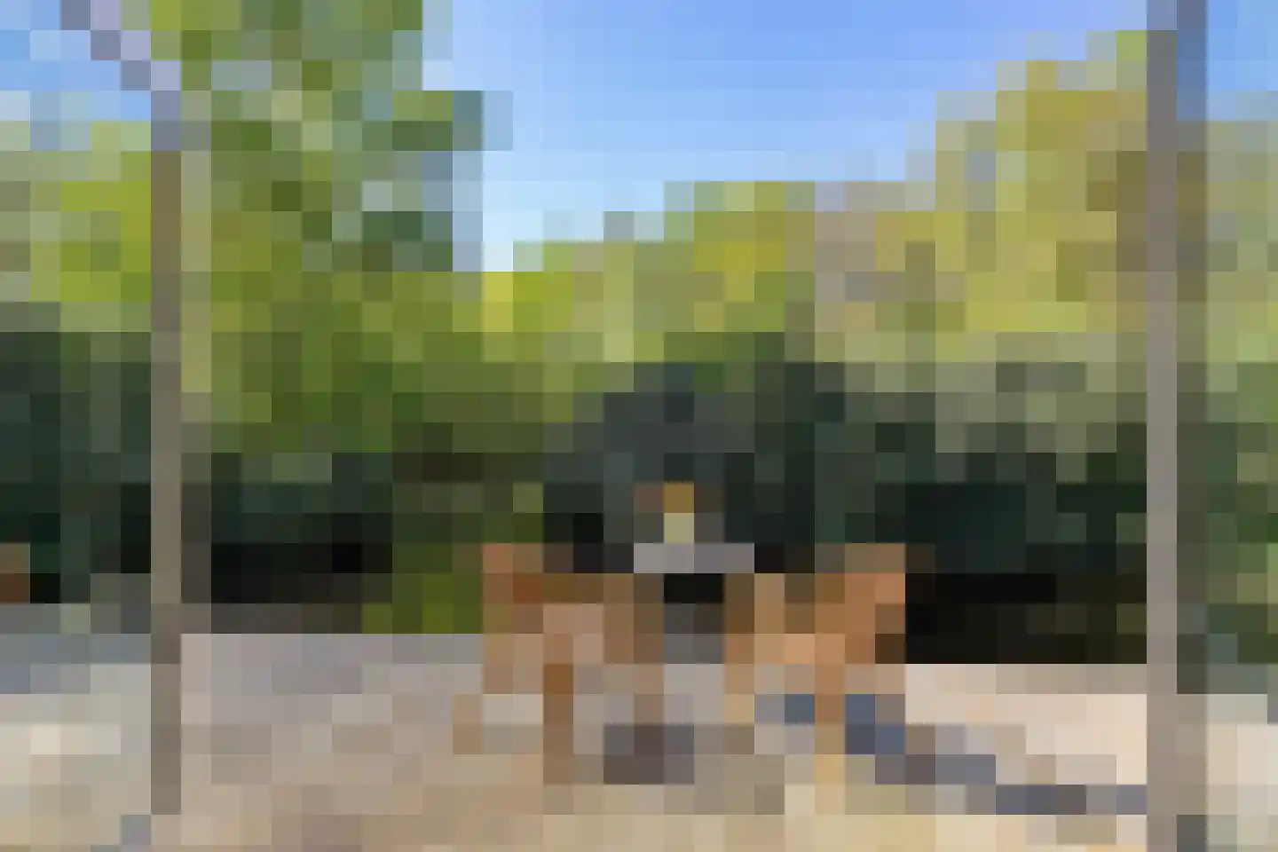 Zwiggelterweg 3 Hooghalen thumbnail 20