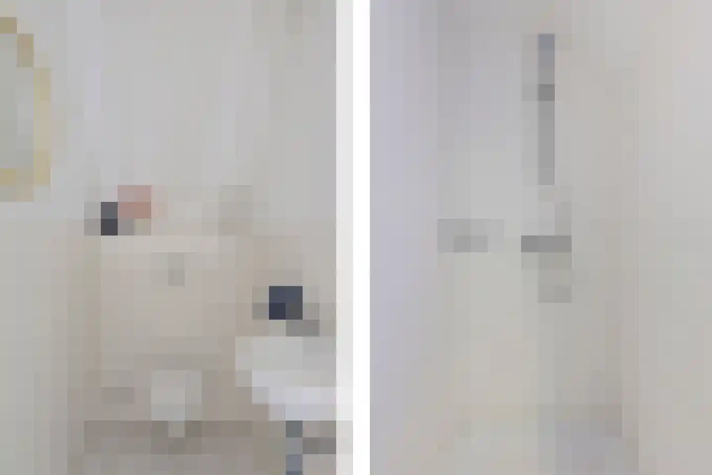 Zwiggelterweg 3 Hooghalen thumbnail 26