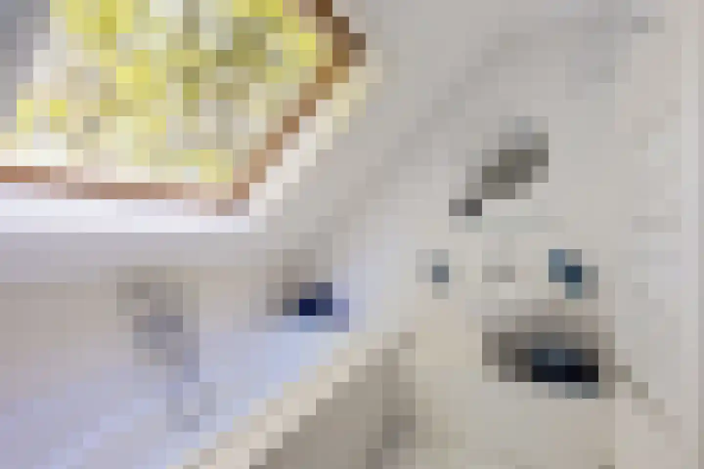 Zwiggelterweg 3 Hooghalen thumbnail 32