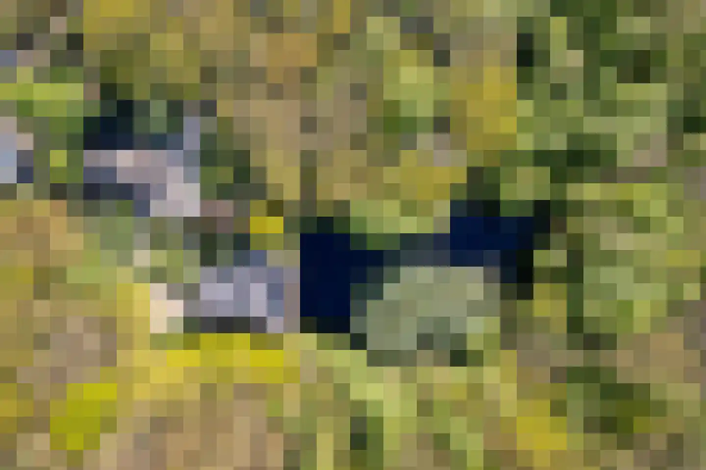 Zwiggelterweg 3 Hooghalen thumbnail 35