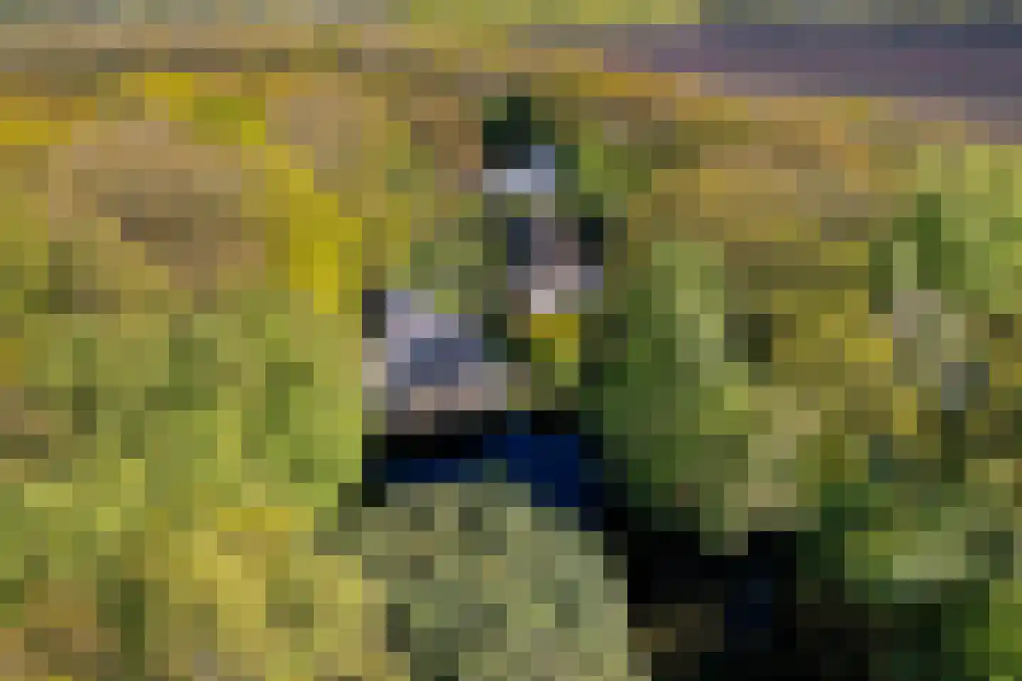 Zwiggelterweg 3 Hooghalen thumbnail 37
