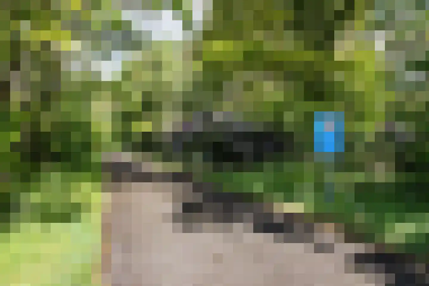 Zwiggelterweg 3 Hooghalen thumbnail 38