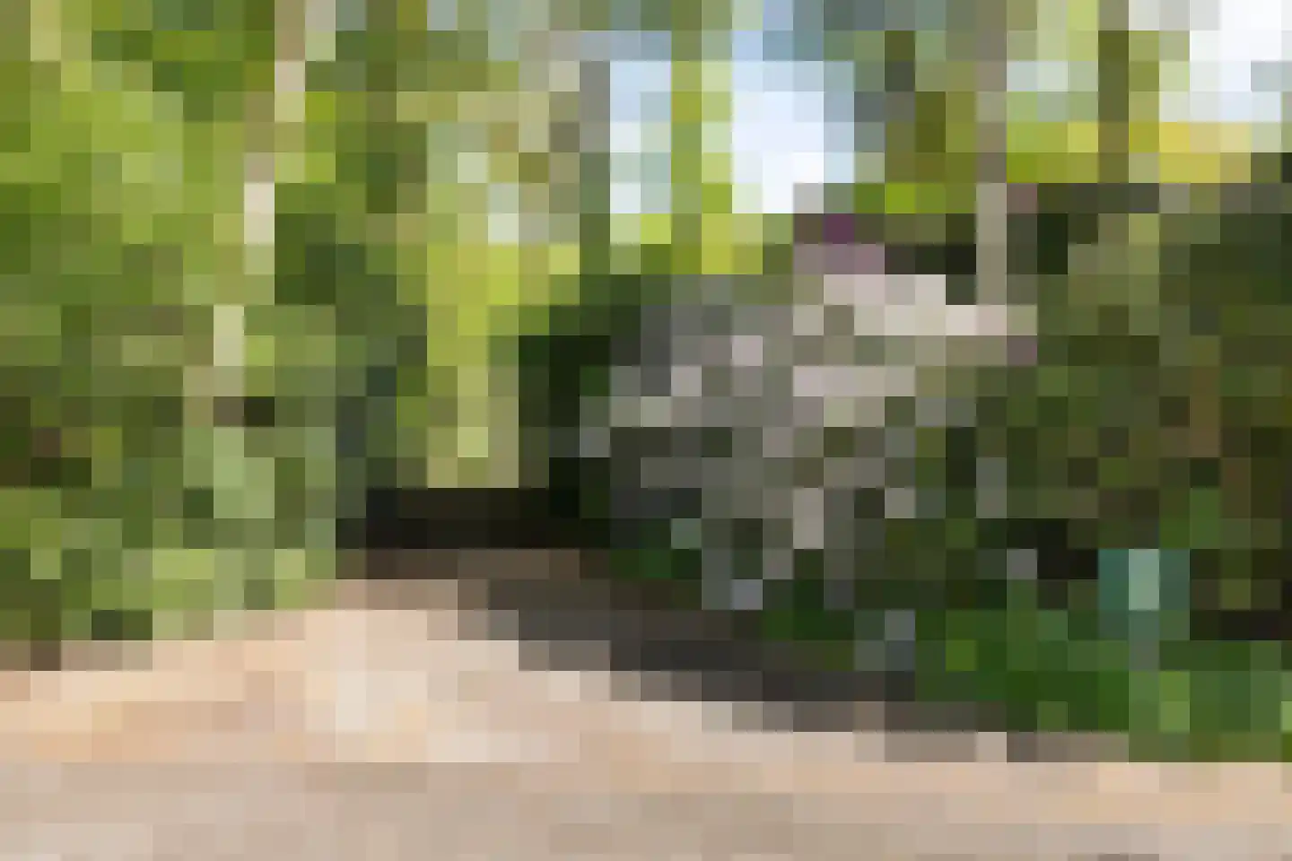 Zwiggelterweg 3 Hooghalen thumbnail 39