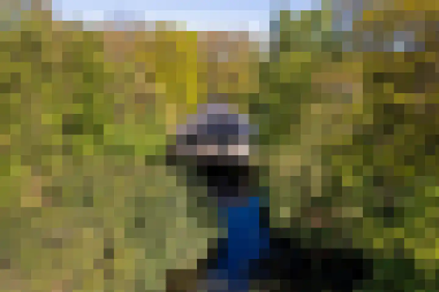 Zwiggelterweg 3 Hooghalen thumbnail 4