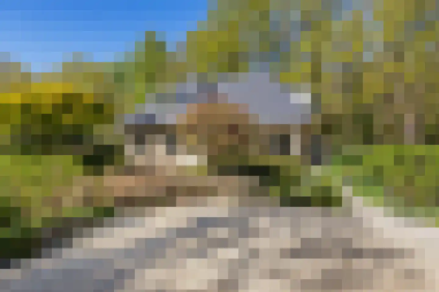 Zwiggelterweg 3 Hooghalen thumbnail 40