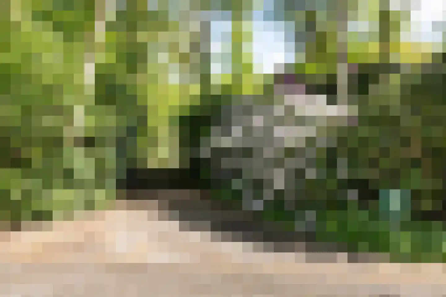 Zwiggelterweg 3 Hooghalen thumbnail 40