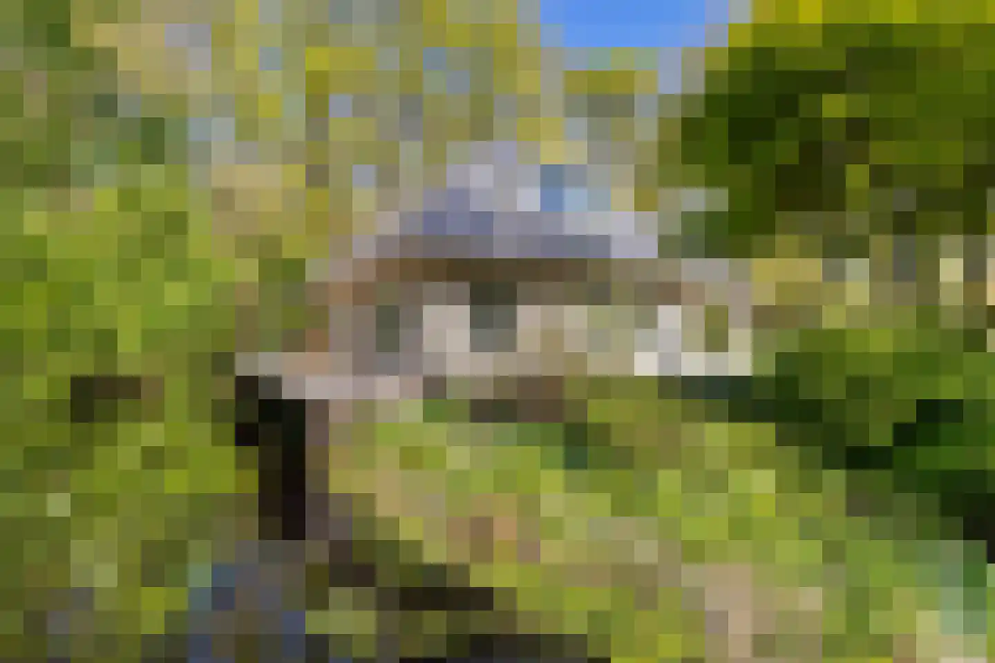 Zwiggelterweg 3 Hooghalen thumbnail 42