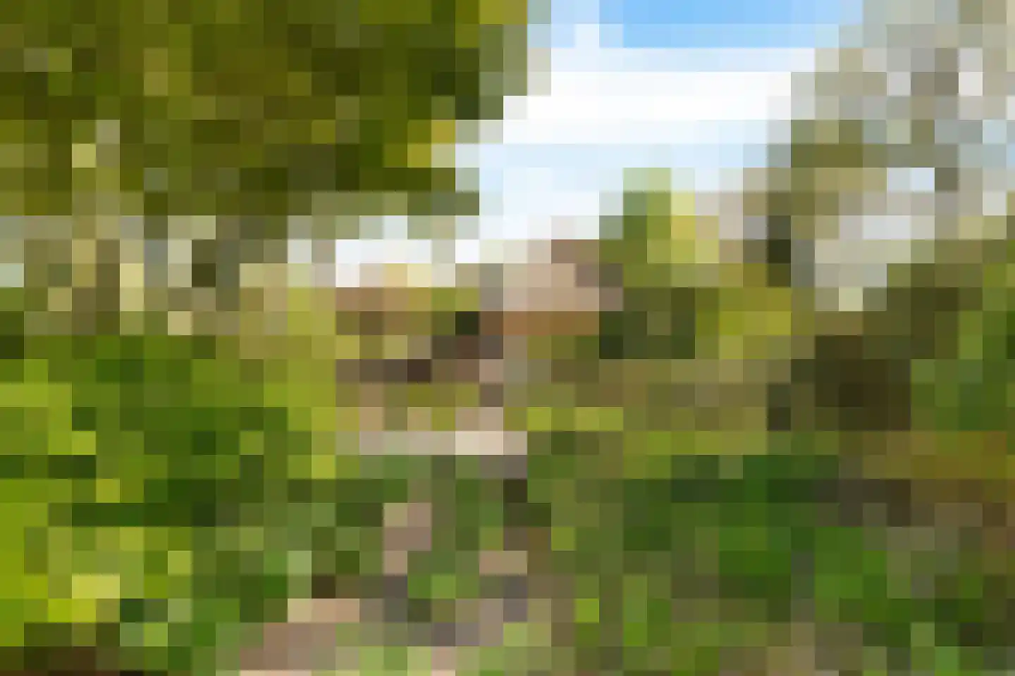 Zwiggelterweg 3 Hooghalen thumbnail 43