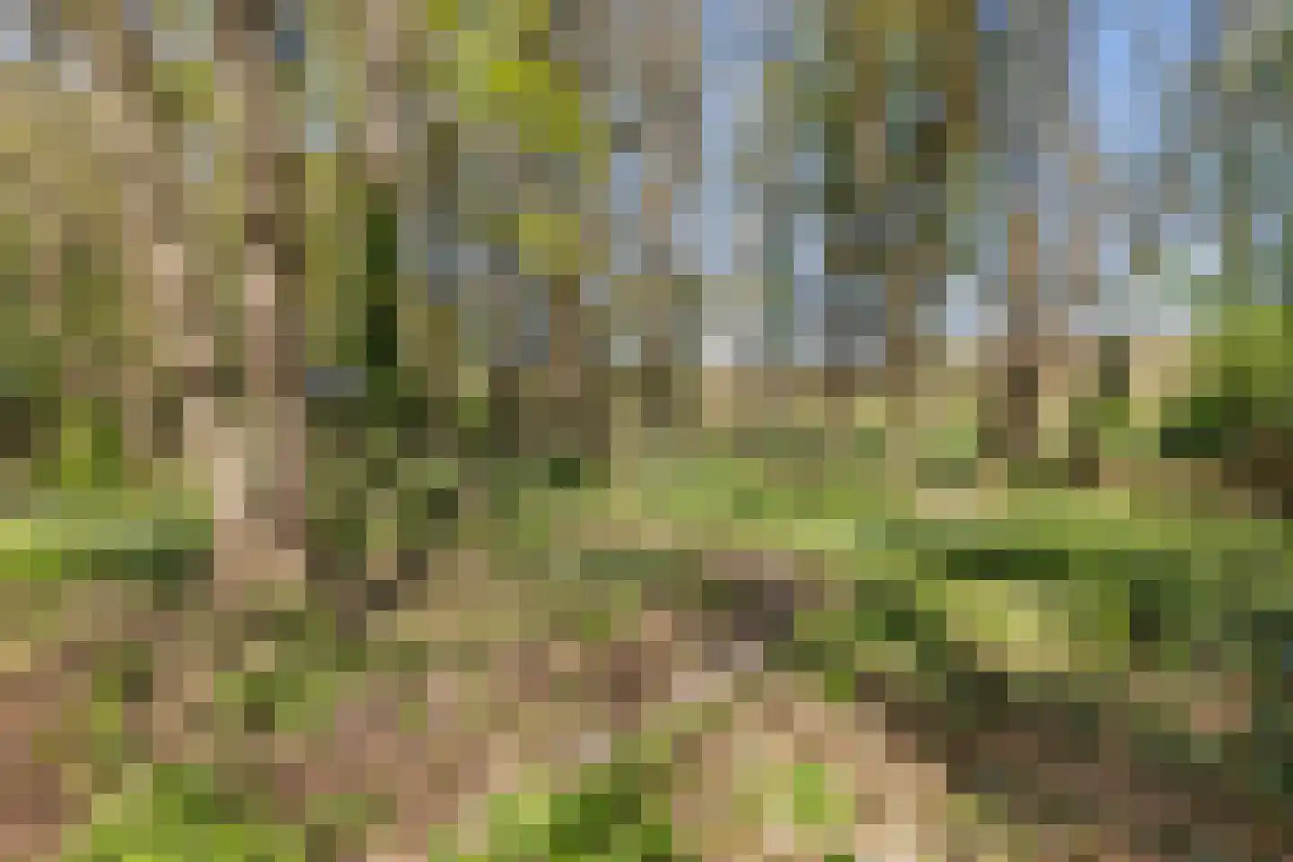 Zwiggelterweg 3 Hooghalen thumbnail 46